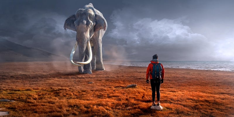 Fantasy Adventure